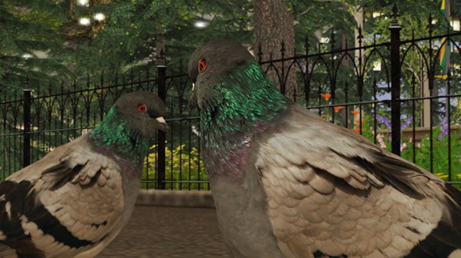 Photography of pigeons in Second Life