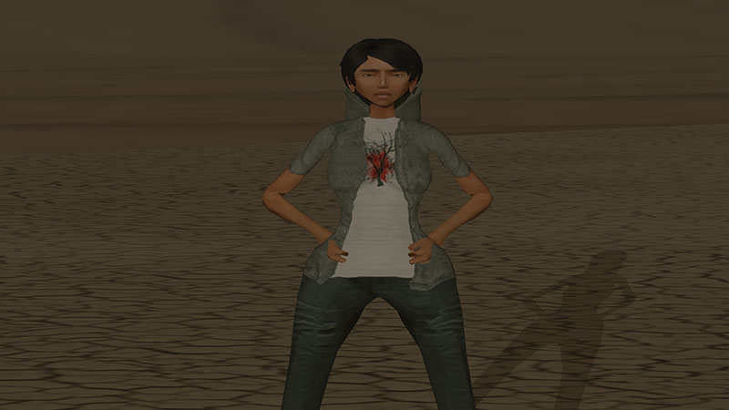 second life system avatar